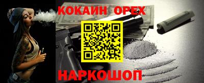индика Можга