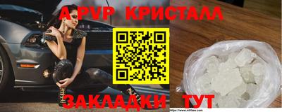индика Можга