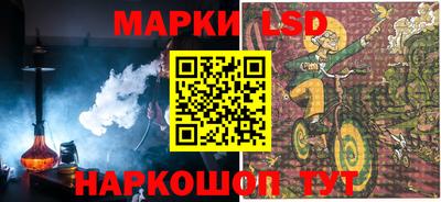 индика Можга