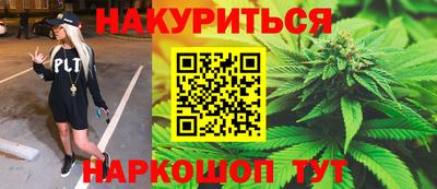 индика Можга