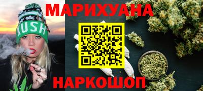 индика Можга