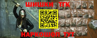 индика Можга