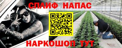 индика Можга