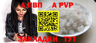 индика Можга